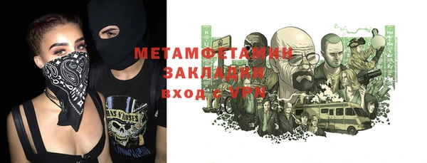 индика Костерёво