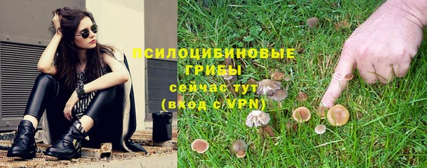 МДПВ Корсаков