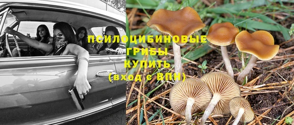 Альфа ПВП Коряжма