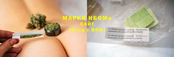 индика Костерёво