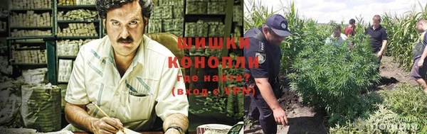Альфа ПВП Коряжма