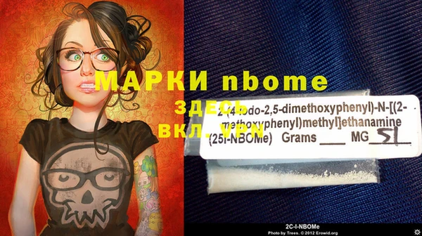 индика Костерёво