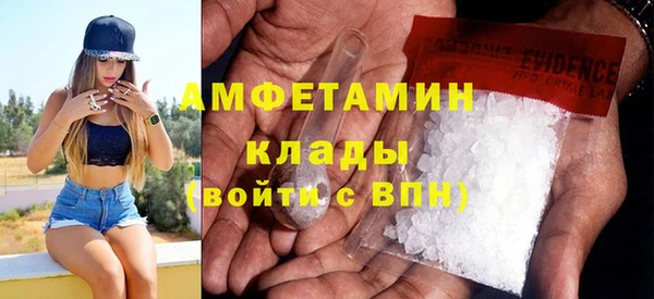 индика Костерёво