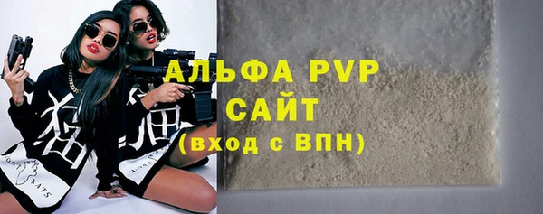 индика Костерёво