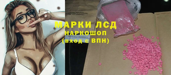 индика Костерёво